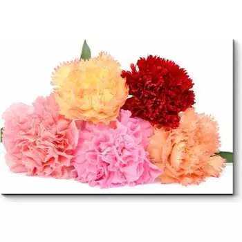 Картина Picsis 5974-13169383