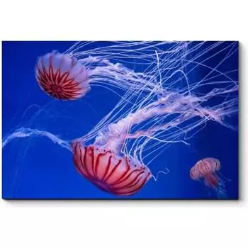 Картина Picsis 4881-10924363