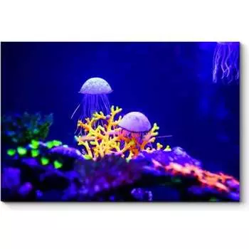 Картина Picsis 1241-10551169