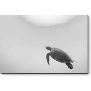 Картина Picsis 4933-10936295