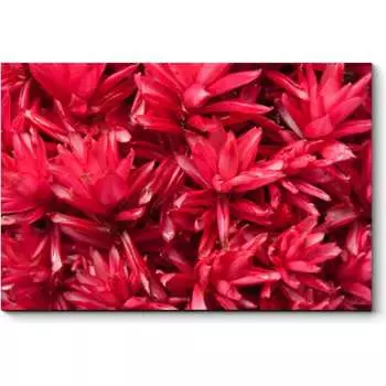 Картина Picsis 4579-10036352