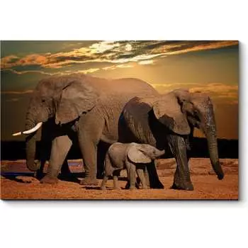 Картина Picsis 904-10453768