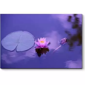 Картина Picsis 5655-11012331