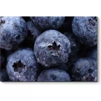 Картина Picsis 1106-10046807