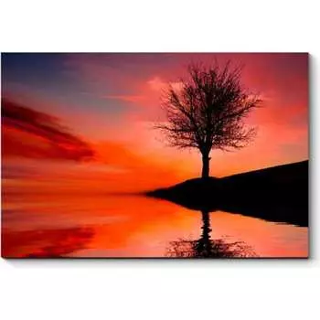 Картина Picsis 3433-9951321