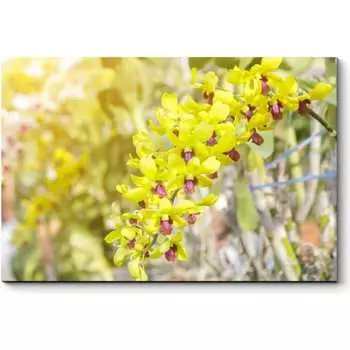 Картина Picsis 5984-13161838