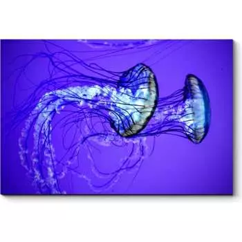 Картина Picsis 4916-10931172