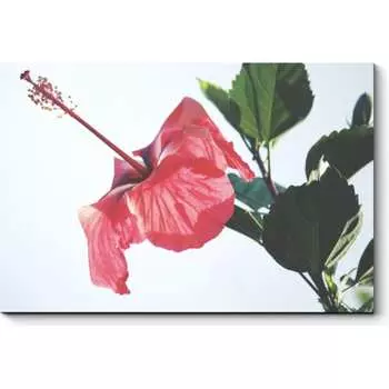 Картина Picsis 4577-10035717