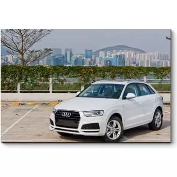 Картина Picsis 5356-10751780