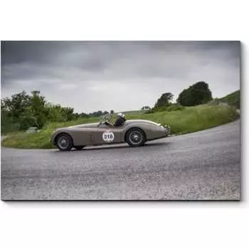 Картина Picsis 5446-10158002