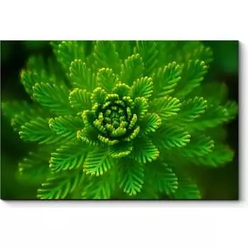 Картина Picsis 1318-9868893