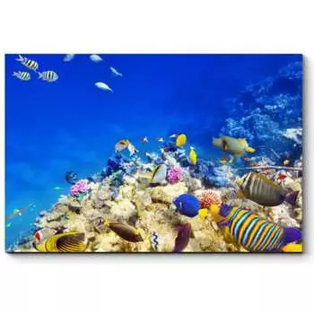 Картина Picsis 959-10483880