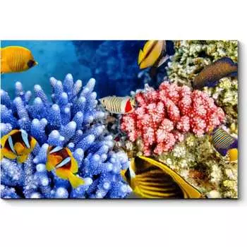 Картина Picsis 5721-11020997