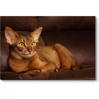 Картина Picsis 3650-10069226