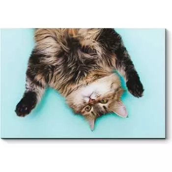 Картина Picsis 3662-10461972