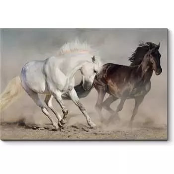 Картина Picsis 4962-10763948