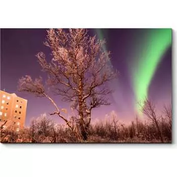 Картина Picsis 3421-9948750