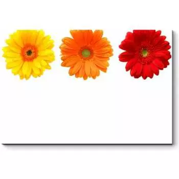 Картина Picsis 5953-13182511