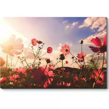 Картина Picsis 2803-9997458