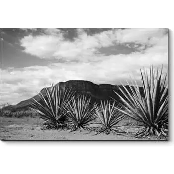 Картина Picsis 3506-9858539