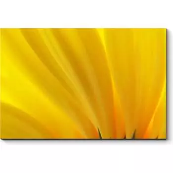 Картина Picsis 2404-9897836