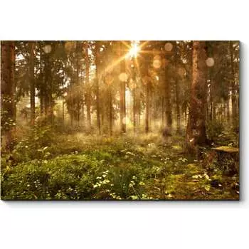 Картина Picsis 3245-10820967