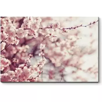 Картина Picsis 4553-10028570