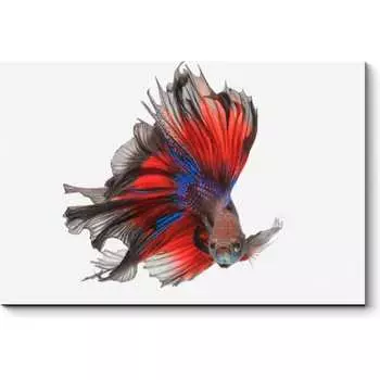 Картина Picsis 912-10455079