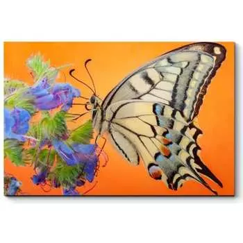 Картина Picsis 876-10446586