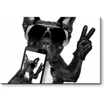 Картина Picsis