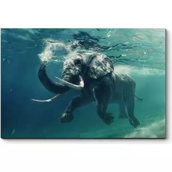 Картина Picsis 905-10454108