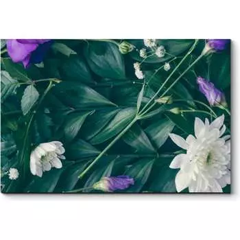 Картина Picsis 4540-10127600