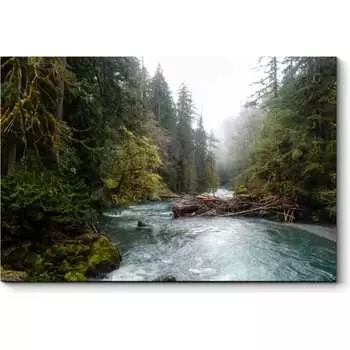 Картина Picsis 3481-10854477