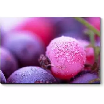 Картина Picsis 1109-11060101