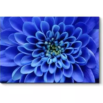 Картина Picsis 3354-10843693