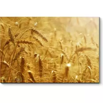 Картина Picsis 3460-9955655