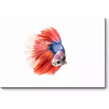 Картина Picsis 911-10454993