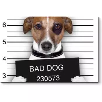 Картина Picsis 3712-10096046