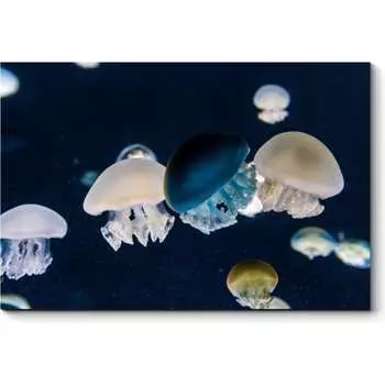 Картина Picsis 4924-10933585