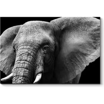 Картина Picsis 4763-10730014