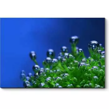 Картина Picsis 1316-10425729