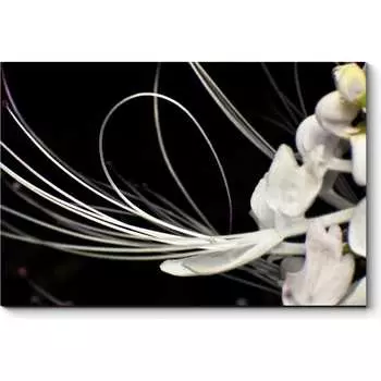 Картина Picsis 2826-10797547