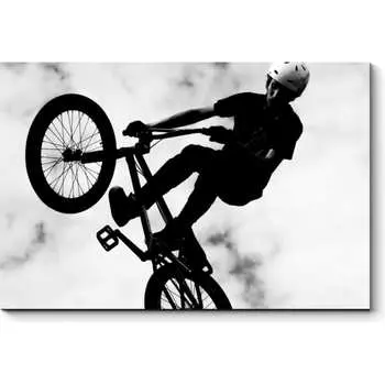 Картина Picsis 5547-10974330