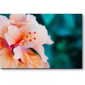 Картина Picsis 4563-10031909