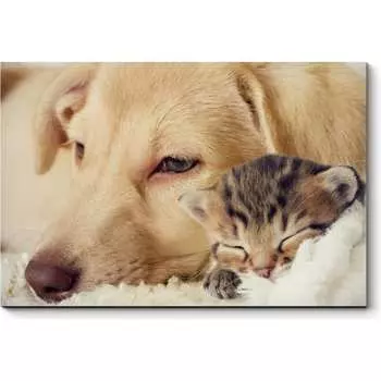 Картина Picsis 3657-10070942