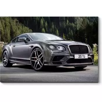 Картина Picsis 1541-9786785