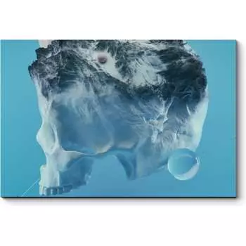 Картина Picsis 6648-13435813