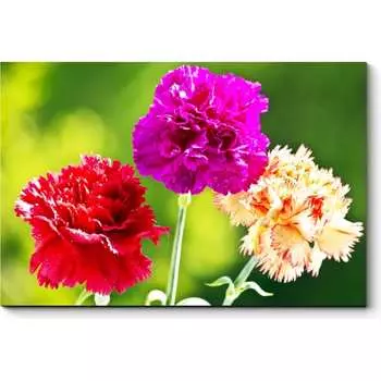 Картина Picsis 5969-13171353