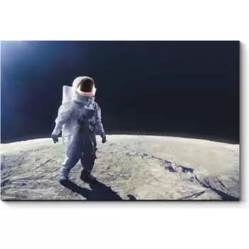 Картина Picsis 6042-13129029