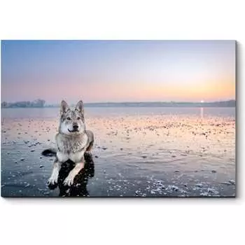 Картина Picsis 3742-9846320